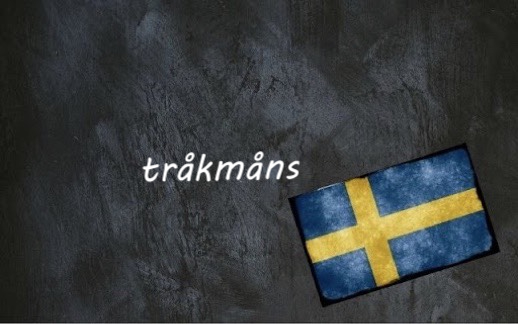​​Swedish word of the day: tråkmåns