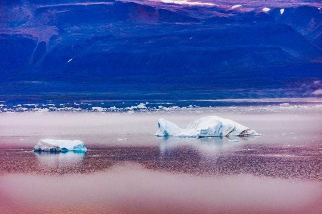 Scientists find 2-million year-old DNA in Greenland