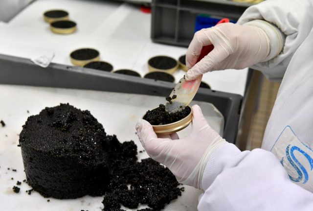 How French caviar farmers are using tech to take on the Chinese