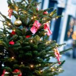 The vocabulary you need for the perfect Christmas in Germany