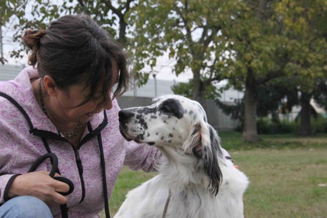 Liquirizia the dog with Emanuela Bianchi, vice president of rescue organisation Salva la Zampa. Photo: Corinna Epifania.