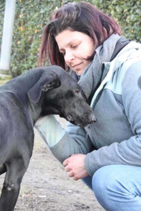 Freddy the dog with volunteer Helen Wilson.