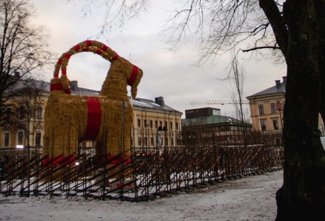 Sweden’s Christmas goat beats the arsonists for 19th time