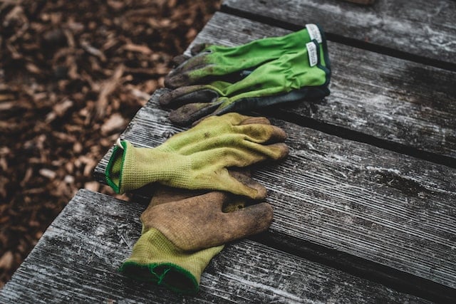 Gardening gloves.