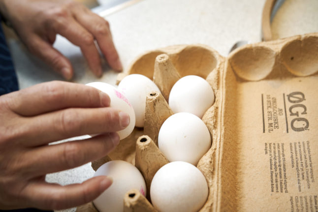 ‘Forever chemical’ PFAS found in organic eggs in Denmark