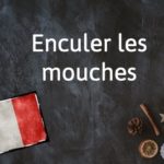 French Expression of the Day: Enculer les mouches