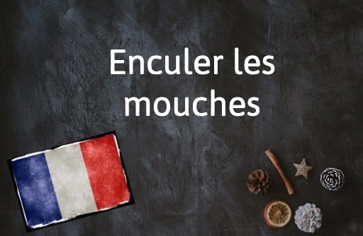 French Expression of the Day: Enculer les mouches