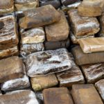French police seize 2.4 tonnes of cannabis near Bordeaux