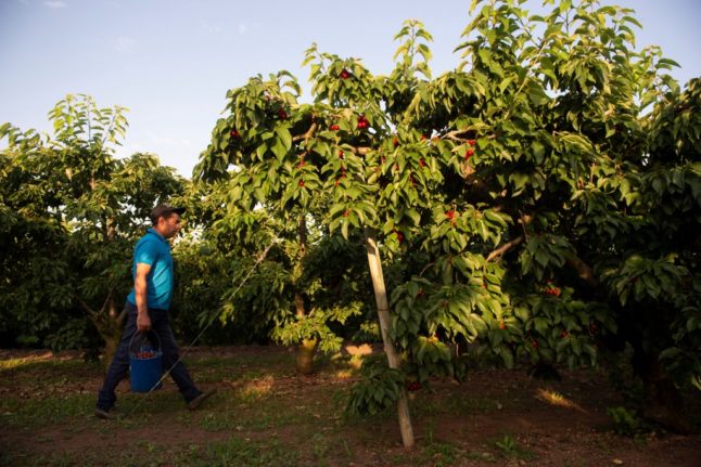 20 business ideas that can work in rural Spain