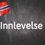 Norwegian word of the day: Innlevelse 