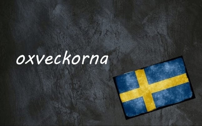 Swedish word of the day: oxveckorna