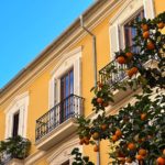 Why does Valencia have so many blooming oranges?