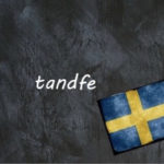​​Swedish word of the day: tandfe