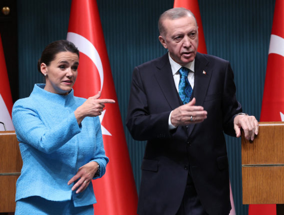 Turkey's parliament to vote through Finland's Nato bid leaving Sweden alone