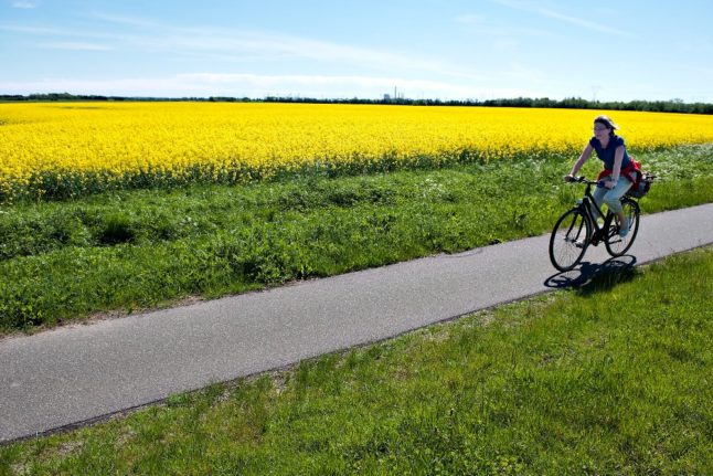 Denmark launches website in English mapping country’s bike routes