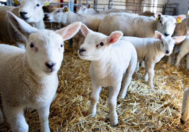 KEY POINTS: What changes about life in Denmark in April 2023?