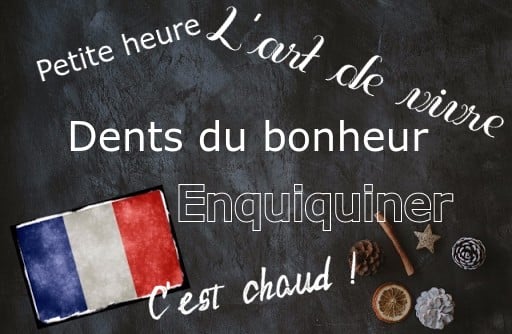 Nine of our favourite French words and expressions of the day