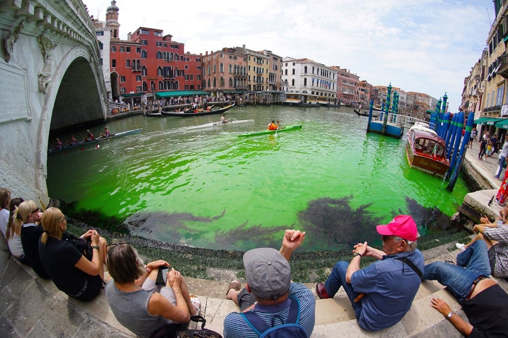 Why Venice's Grand Canal turned green