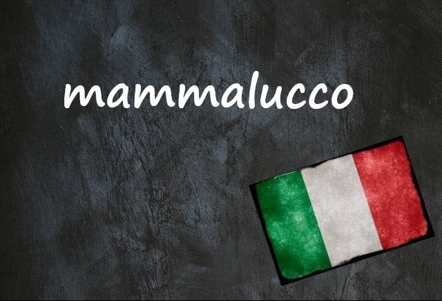 Italian word of the day: ‘Mammalucco’