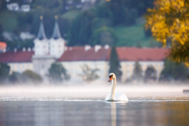 Living in Germany: Exploring with the €49 ticket, lake swimming and Verein culture
