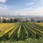 5 places to celebrate Mother’s Day in Vienna