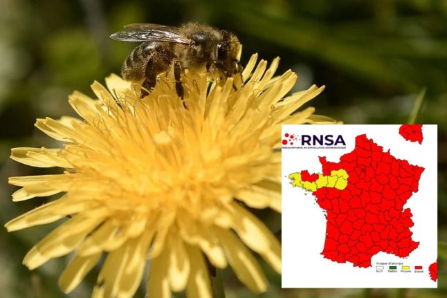 Why are there so many 'red' pollen alerts this year in France?