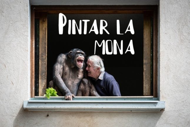 Spanish Expression of the Day: Pintar la mona