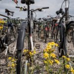 How can you get your bicycle back if it is stolen in Denmark?