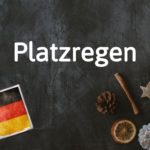 German word of the day: Platzregen