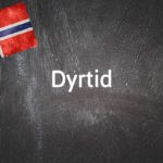 Norwegian word of the day: Dyrtid 