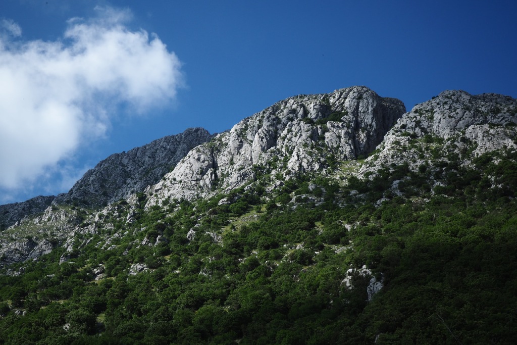 Mount Alpi, Basilicata