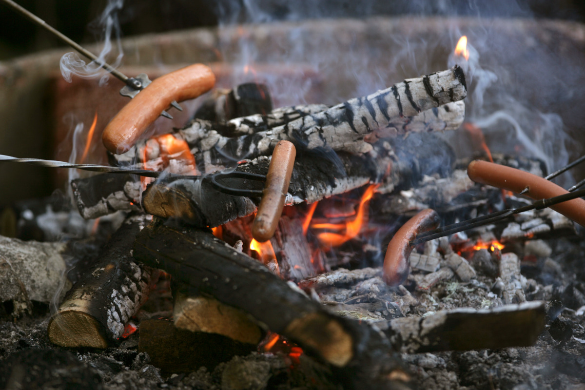 EXPLAINED: What do Sweden's fire bans mean?