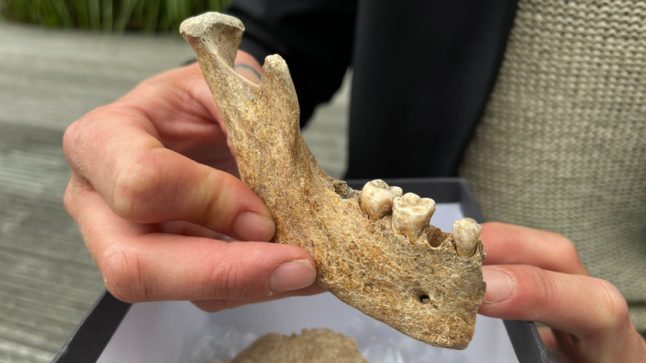 Swede finds 1000-year-old Viking-era skeleton in his garden