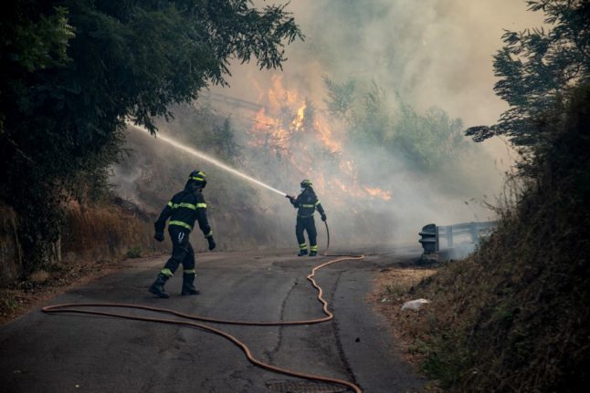 VIDEO: Sicily set for state of emergency as wildfires blaze