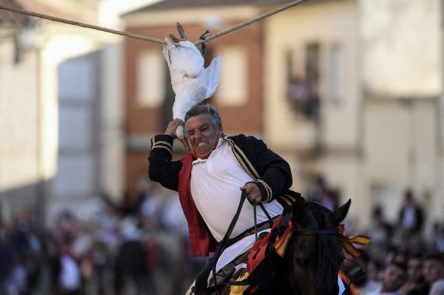 The Spanish festival where horse riders rip the heads off dead geese