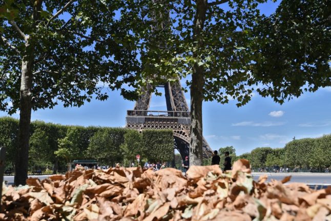 France releases pair detained over suspected rape of Paris tourist