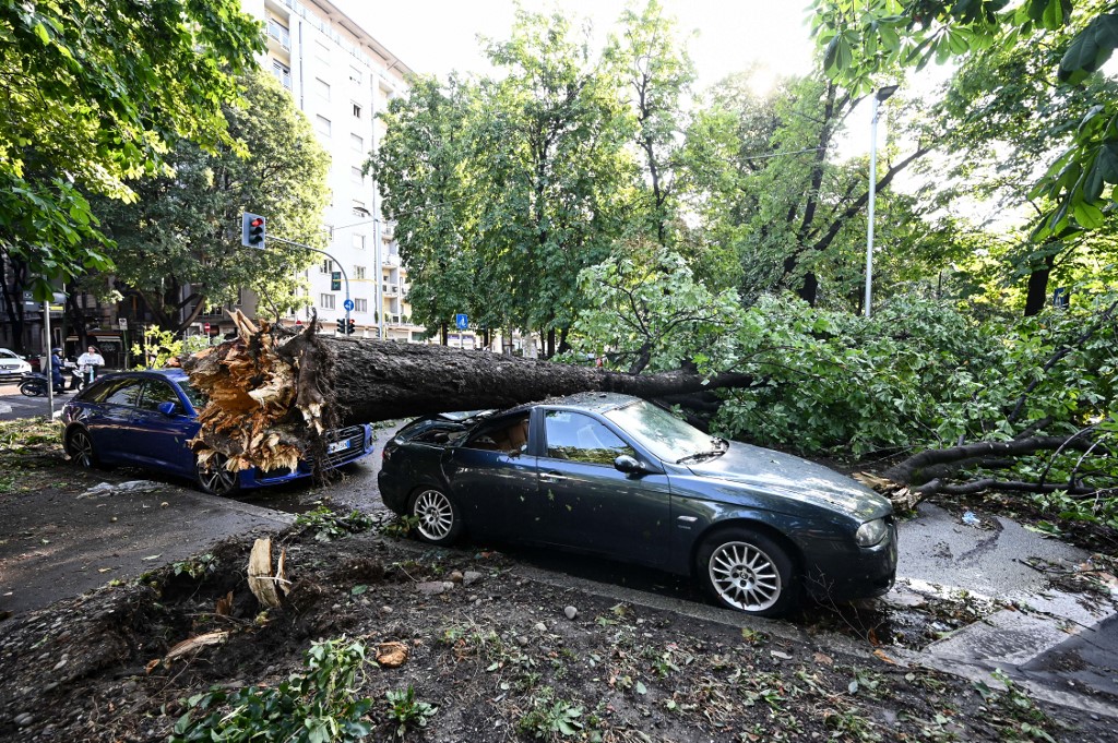 Seven killed in storms and wildfires as Italy divided by extreme weather