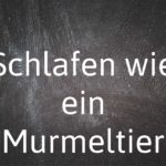 German phrase of the day: Schlafen wie ein Murmeltier