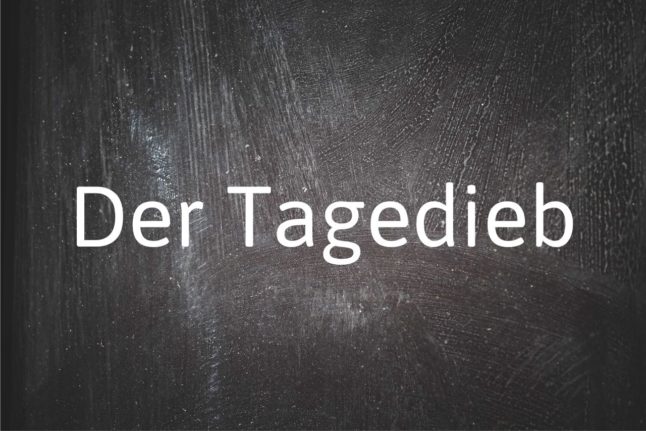 German words you need to know: Der Tagedieb