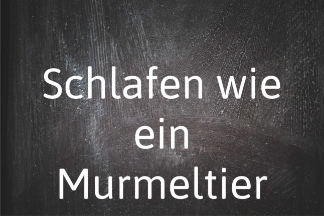 German phrase of the day: Schlafen wie ein Murmeltier