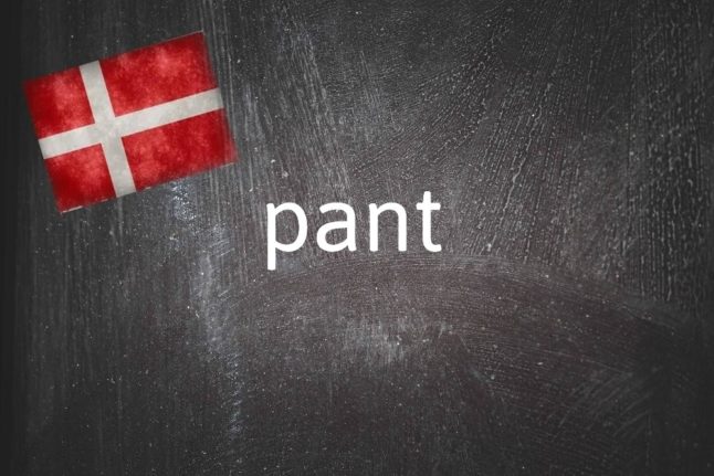 Danish word of the day: Pant