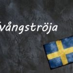 Swedish word of the day: Tvångströja