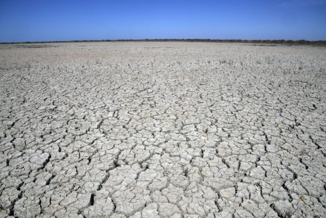 Illegal water use dries out key Spanish lagoon