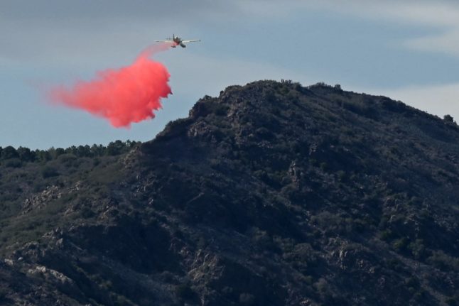 Firefighters contain wildfire near Spanish-French border