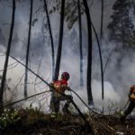 Spain and Portugal battle wildfires amid heatwave alerts