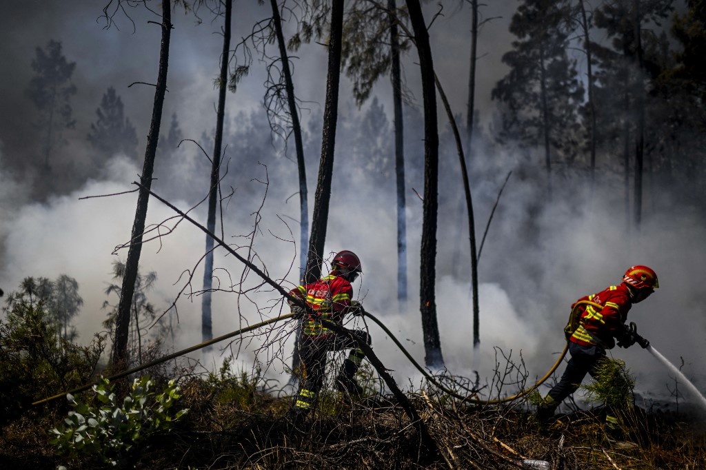 Spain and Portugal battle wildfires amid heatwave alerts thumbnail