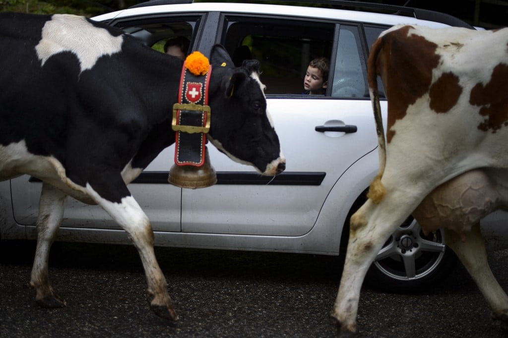 How your Swiss commune plays a key role in your citizenship application?