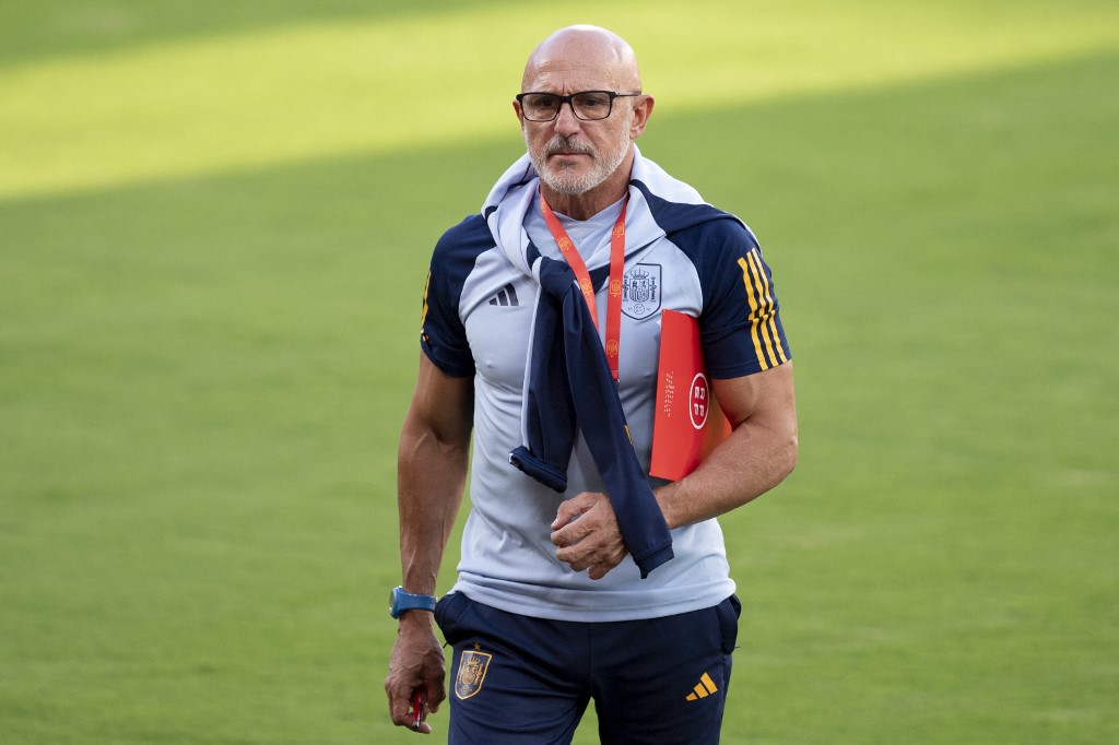 'Maximum respect' for Rubiales resignation: Spain coach