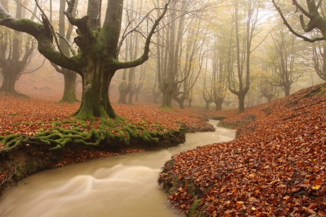 The best places in Spain to see the autumn leaves