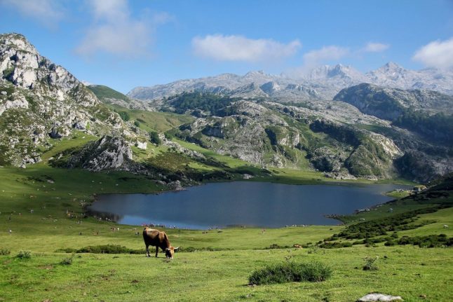 Eight fascinating facts about Spain’s Asturias region